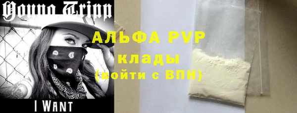 спиды Вяземский