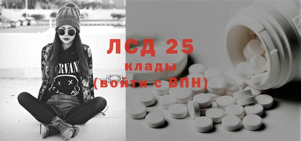 спиды Вяземский