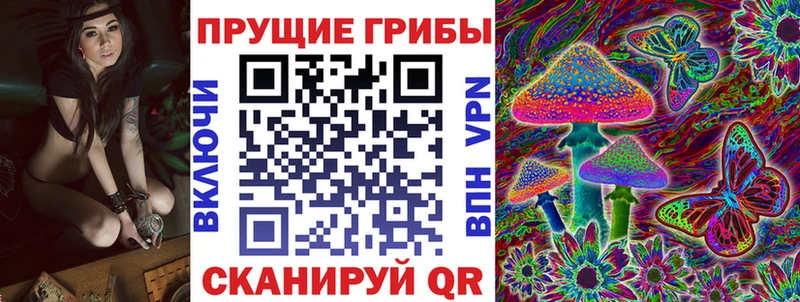 mega ссылка  Пласт  Галлюциногенные грибы ЛСД 